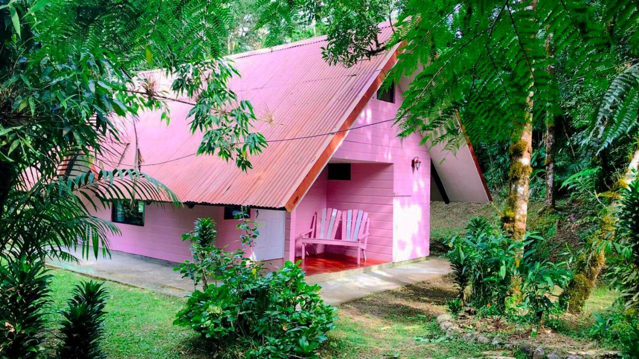 Cabanas Las Orquideas Zapotal  Phòng bức ảnh