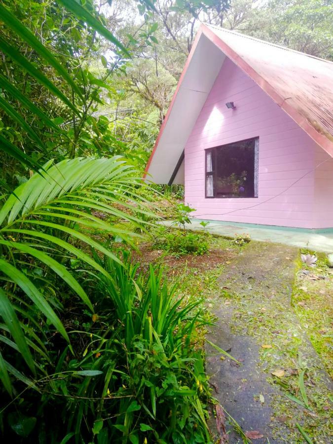 Cabanas Las Orquideas Zapotal  Phòng bức ảnh