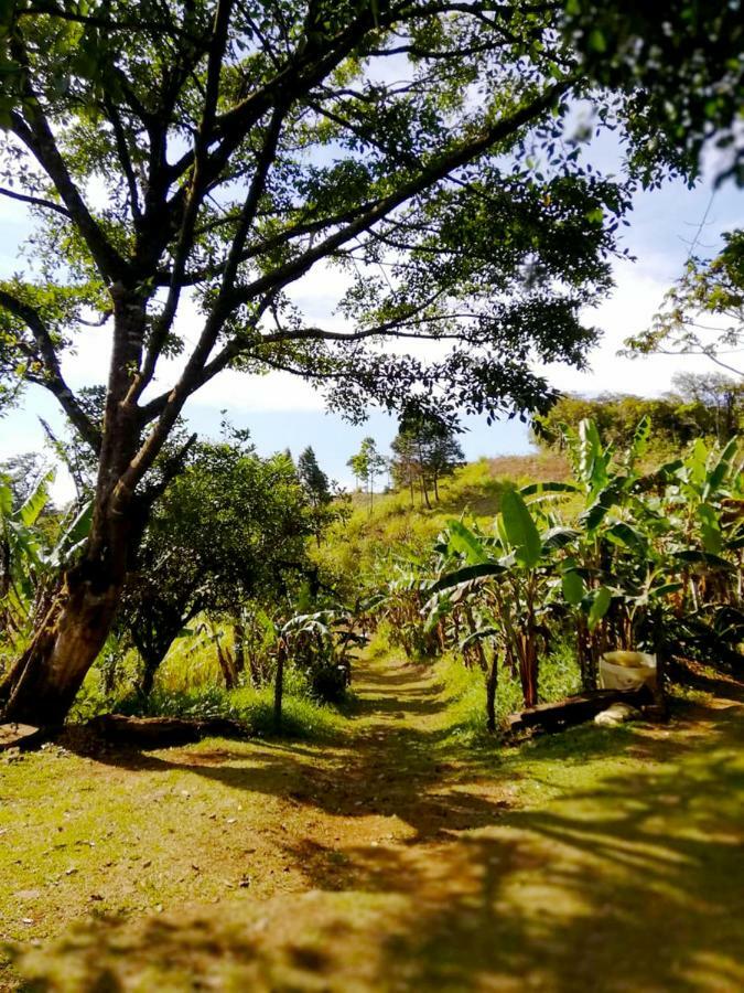 Cabanas Las Orquideas Zapotal  Ngoại thất bức ảnh
