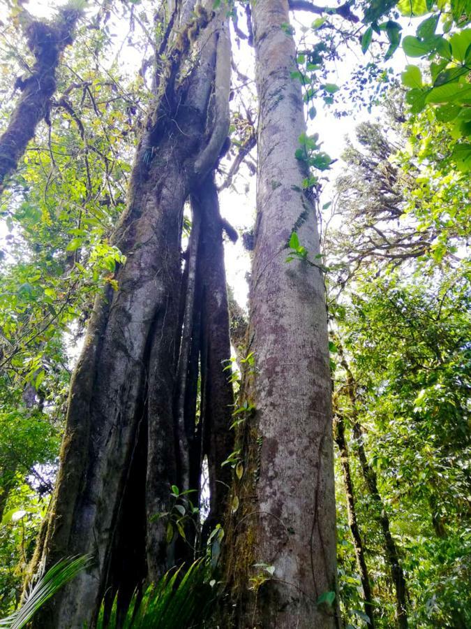 Cabanas Las Orquideas Zapotal  Ngoại thất bức ảnh