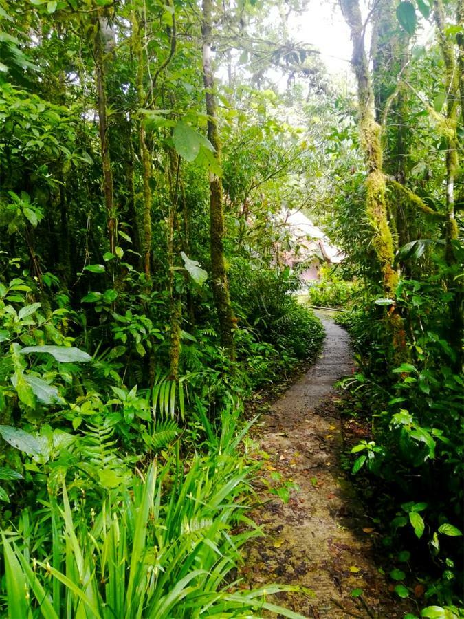 Cabanas Las Orquideas Zapotal  Ngoại thất bức ảnh