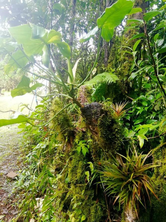 Cabanas Las Orquideas Zapotal  Ngoại thất bức ảnh